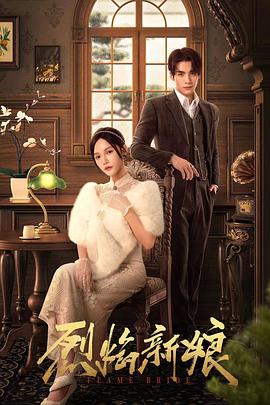 成都网站优化软件公司